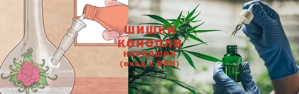 экстази Белокуриха