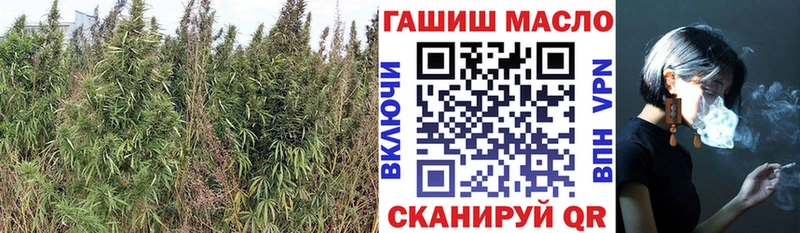Дистиллят ТГК THC oil  Хабаровск 